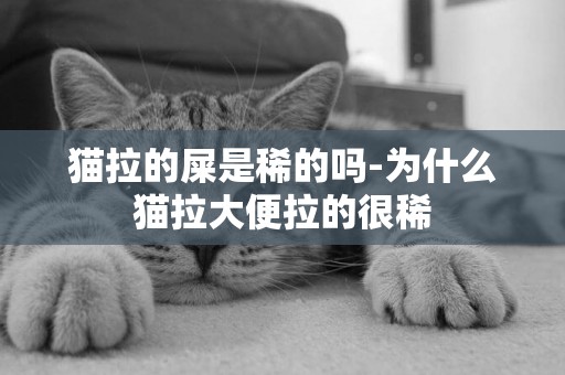 貓拉的屎是稀的嗎-為什么貓拉大便拉的很稀