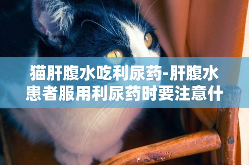 貓肝腹水吃利尿藥-肝腹水患者服用利尿藥時要注意什么