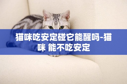 貓咪吃安定碰它能醒嗎-貓咪 能不吃安定