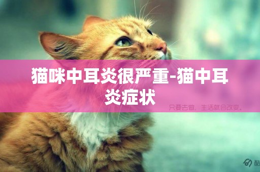 貓咪中耳炎很嚴重-貓中耳炎癥狀