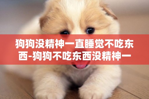 狗狗沒精神一直睡覺不吃東西-狗狗不吃東西沒精神一直想睡覺