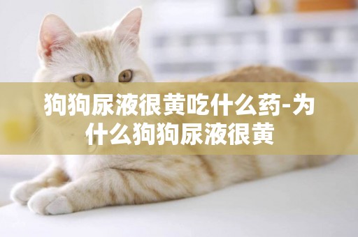 狗狗尿液很黃吃什么藥-為什么狗狗尿液很黃