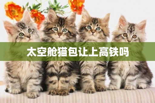 太空艙貓包讓上高鐵嗎