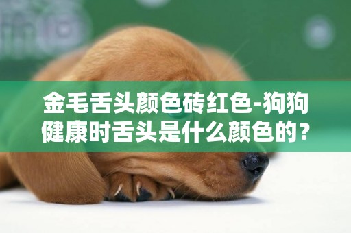 金毛舌頭顏色磚紅色-狗狗健康時舌頭是什么顏色的？