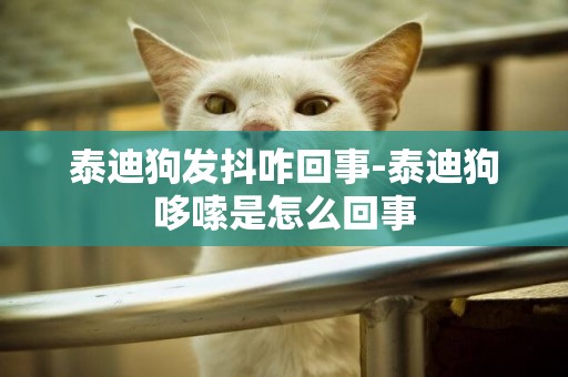 泰迪狗發抖咋回事-泰迪狗哆嗦是怎么回事