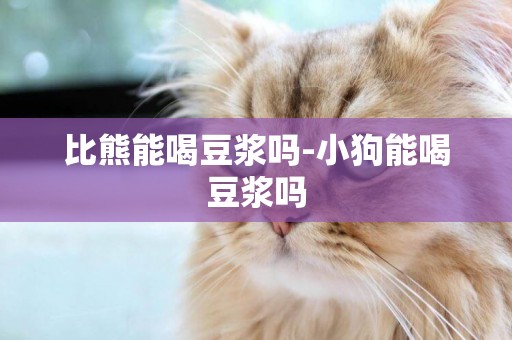 比熊能喝豆漿嗎-小狗能喝豆漿嗎