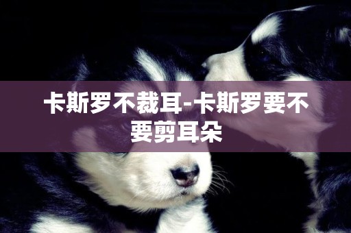 卡斯羅不裁耳-卡斯羅要不要剪耳朵