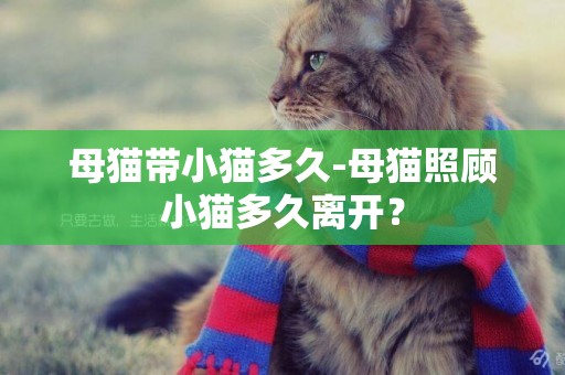 母貓帶小貓多久-母貓照顧小貓多久離開？