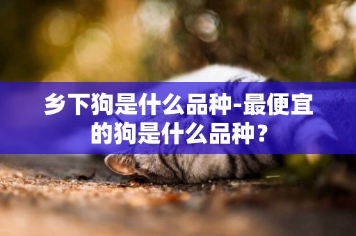 鄉下狗是什么品種-最便宜的狗是什么品種？