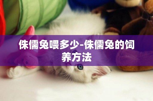 侏儒兔喂多少-侏儒兔的飼養方法