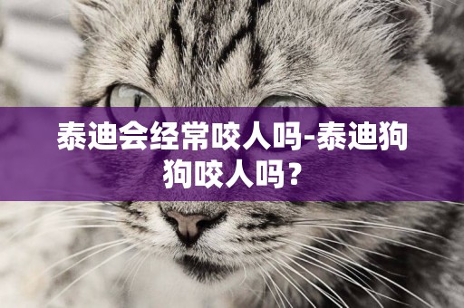 泰迪會經常咬人嗎-泰迪狗狗咬人嗎？
