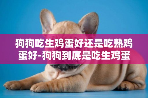狗狗吃生雞蛋好還是吃熟雞蛋好-狗狗到底是吃生雞蛋還是熟雞蛋