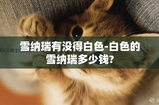 雪納瑞有沒得白色-白色的雪納瑞多少錢?