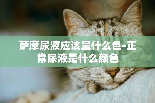 薩摩尿液應該呈什么色-正常尿液是什么顏色