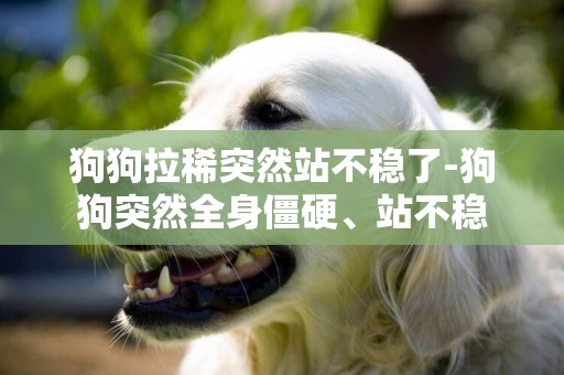 狗狗拉稀突然站不穩了-狗狗突然全身僵硬、站不穩