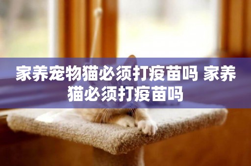 家養寵物貓必須打疫苗嗎 家養貓必須打疫苗嗎