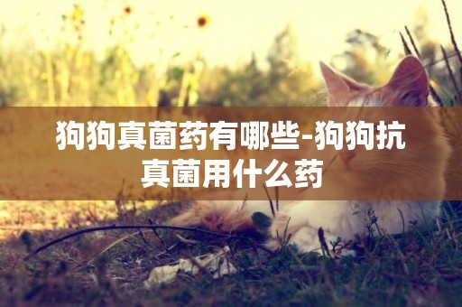 狗狗真菌藥有哪些-狗狗抗真菌用什么藥