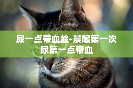 尿一點帶血絲-晨起第一次尿第一點帶血