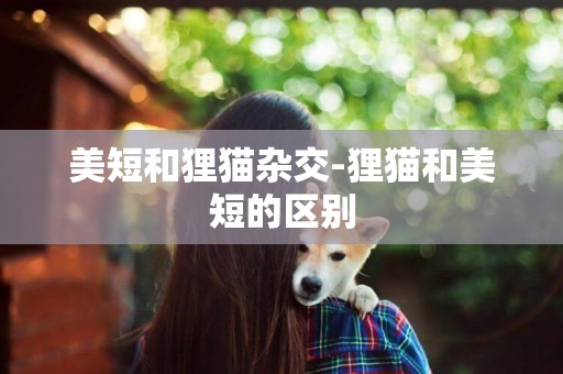 美短和貍貓雜交-貍貓和美短的區別