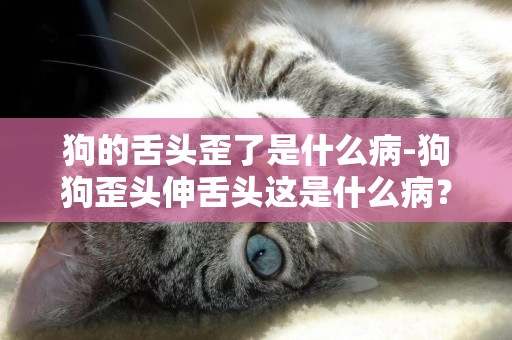 狗的舌頭歪了是什么病-狗狗歪頭伸舌頭這是什么病？
