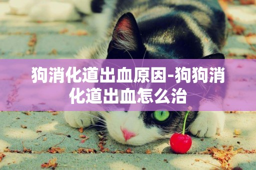狗消化道出血原因-狗狗消化道出血怎么治