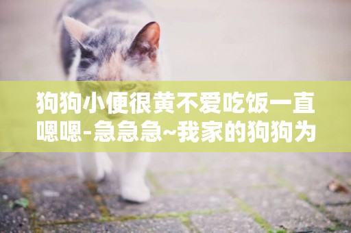 狗狗小便很黃不愛吃飯一直嗯嗯-急急急~我家的狗狗為什么小便很黃，不怎么吃東西！