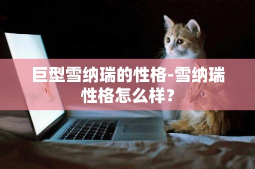 巨型雪納瑞的性格-雪納瑞性格怎么樣？
