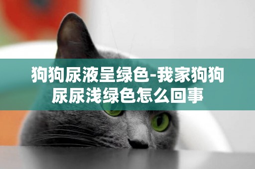 狗狗尿液呈綠色-我家狗狗尿尿淺綠色怎么回事