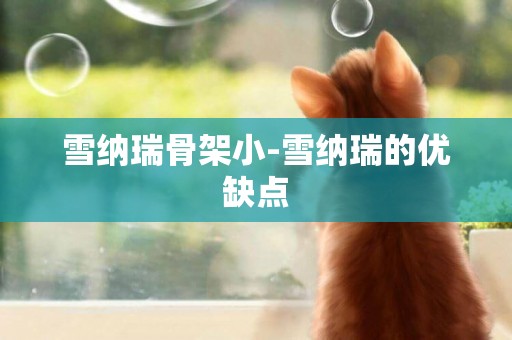 雪納瑞骨架小-雪納瑞的優缺點