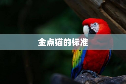 金點貓的標準