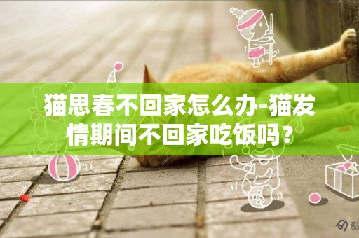 貓思春不回家怎么辦-貓發情期間不回家吃飯嗎？
