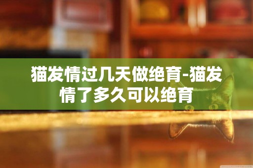 貓發情過幾天做絕育-貓發情了多久可以絕育 貓發情過幾天做絕育-貓發情了多久可以絕育