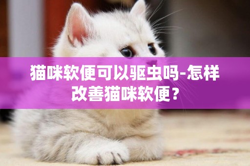 貓咪軟便可以驅蟲嗎-怎樣改善貓咪軟便？