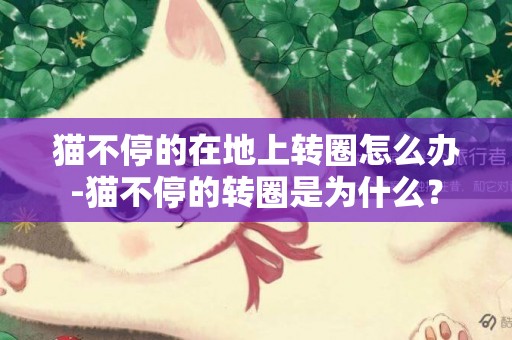 貓不停的在地上轉圈怎么辦-貓不停的轉圈是為什么？