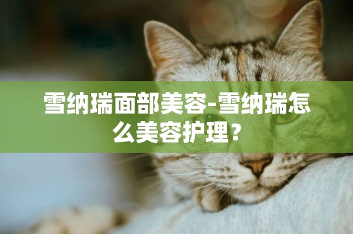 雪納瑞面部美容-雪納瑞怎么美容護理？