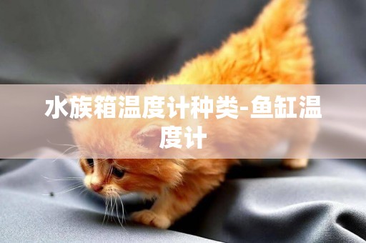 水族箱溫度計種類-魚缸溫度計
