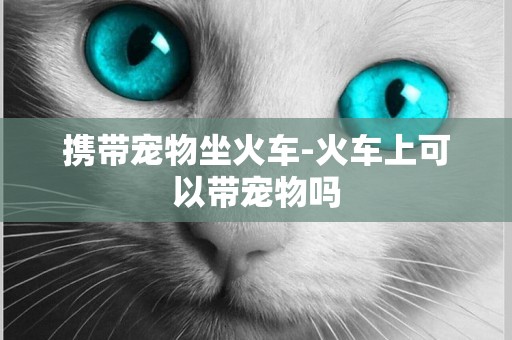 攜帶寵物坐火車-火車上可以帶寵物嗎