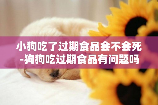 小狗吃了過期食品會不會死-狗狗吃過期食品有問題嗎？
