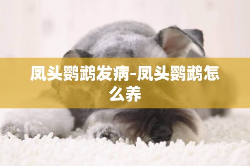 鳳頭鸚鵡發病-鳳頭鸚鵡怎么養