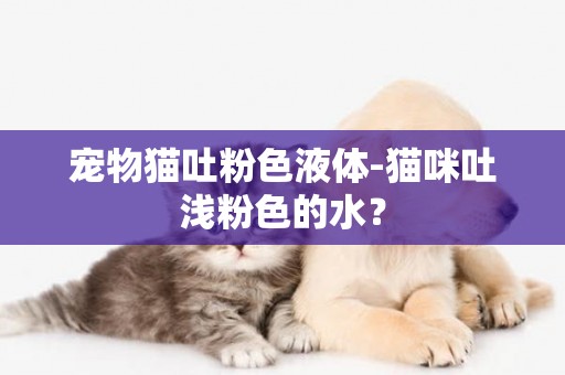 寵物貓吐粉色液體-貓咪吐淺粉色的水？
