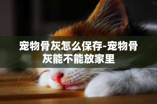 寵物骨灰怎么保存-寵物骨灰能不能放家里