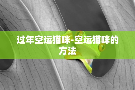 過年空運貓咪-空運貓咪的方法