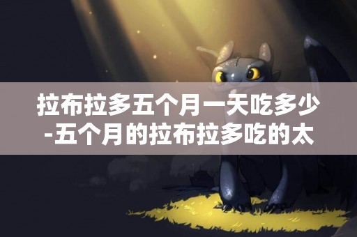 拉布拉多五個月一天吃多少-五個月的拉布拉多吃的太飽