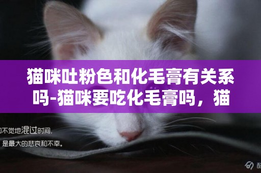 貓咪吐粉色和化毛膏有關系嗎-貓咪要吃化毛膏嗎，貓咪多大開始吐毛球