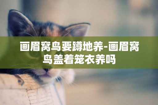 畫眉窩鳥要蹲地養-畫眉窩鳥蓋著籠衣養嗎