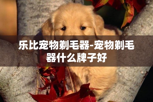 樂比寵物剃毛器-寵物剃毛器什么牌子好