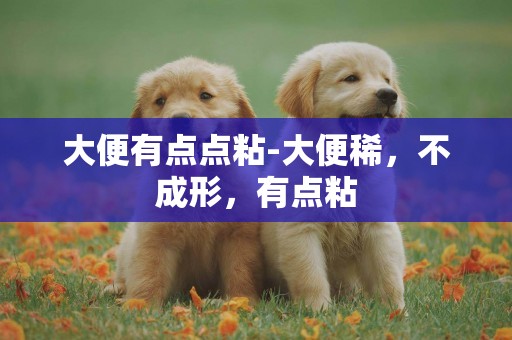 大便有點點粘-大便稀，不成形，有點粘