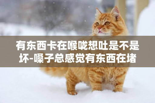 有東西卡在喉嚨想吐是不是壞-嗓子總感覺有東西在堵著，有時還想吐，是怎么回事？