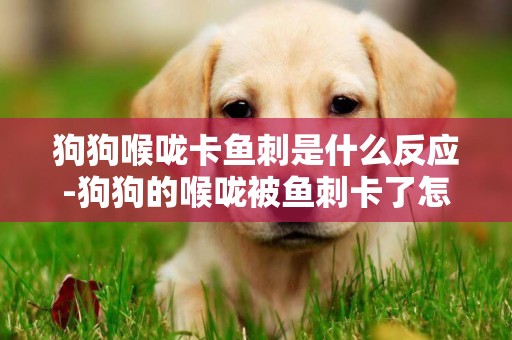 狗狗喉嚨卡魚刺是什么反應-狗狗的喉嚨被魚刺卡了怎么辦？