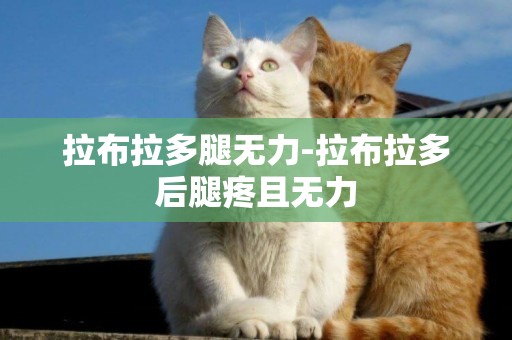 拉布拉多腿無力-拉布拉多后腿疼且無力